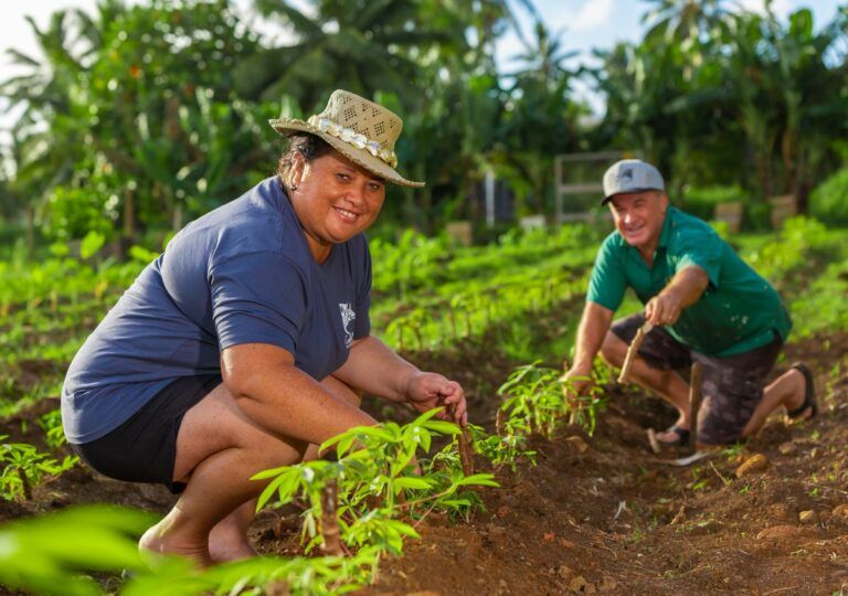 30 Ways to Travel More Sustainably in the Cook Islands ♻️