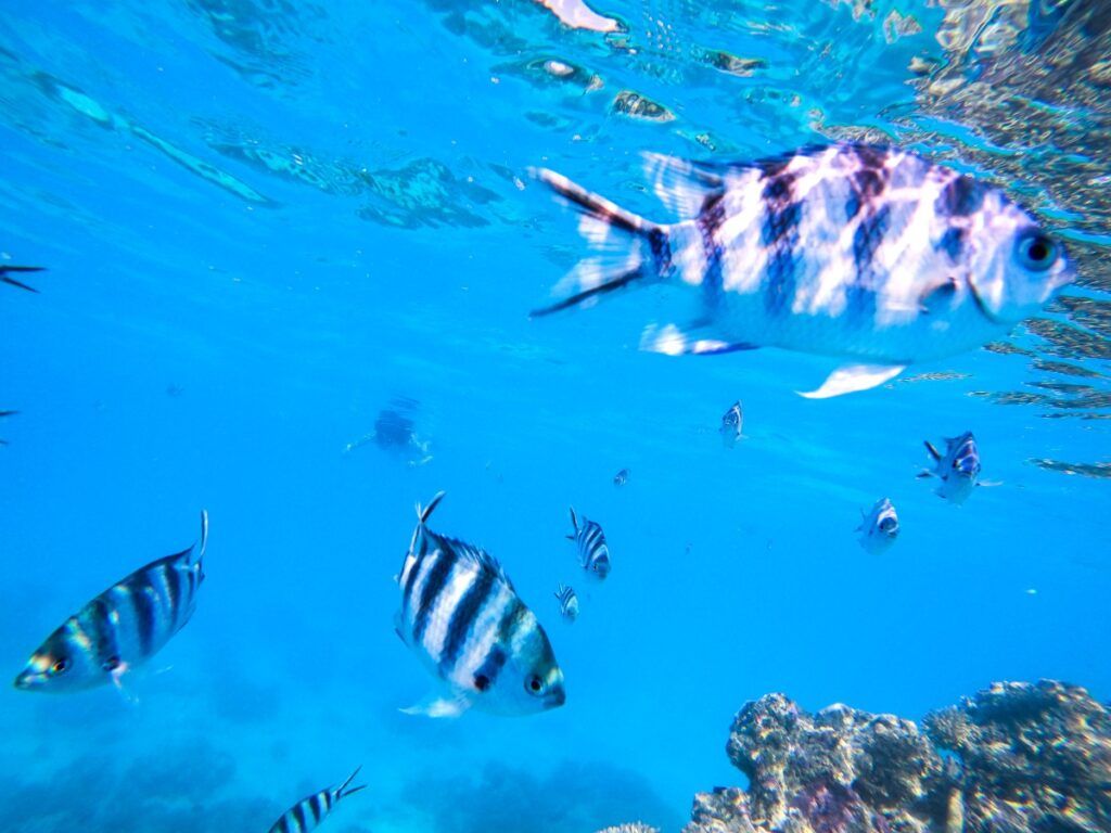 Rarotonga Family Itinerary: 3 Days