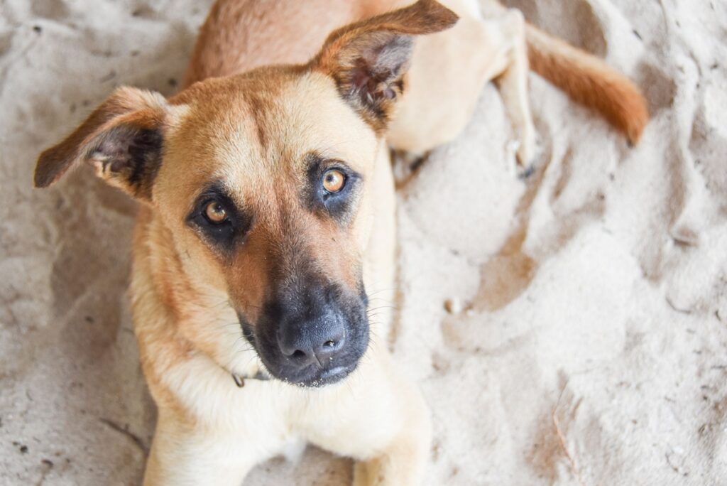 21 Fun Facts About Rarotonga & the Cook Islands ????