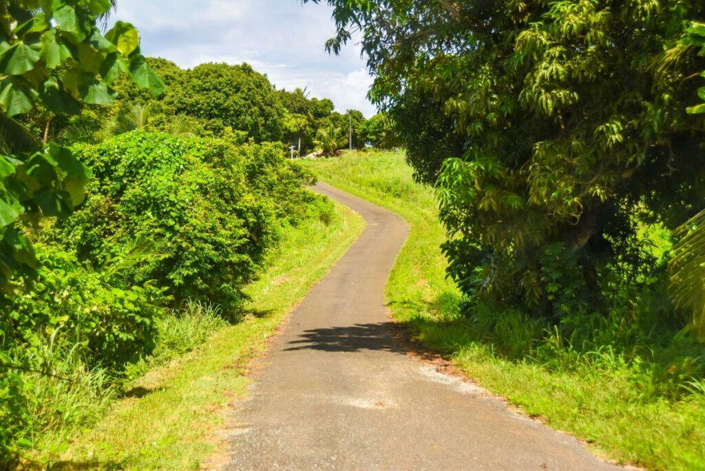 Which is Better, Renting a Car or Taking the Bus on Rarotonga?