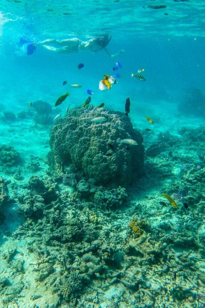 Cook Islands Budget & Backpacking Itinerary: 10 Days 🏄 [2025]