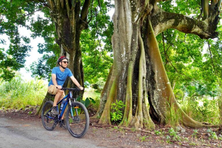 Cook Islands Budget & Backpacking Itinerary: 14 Days / 2 Weeks