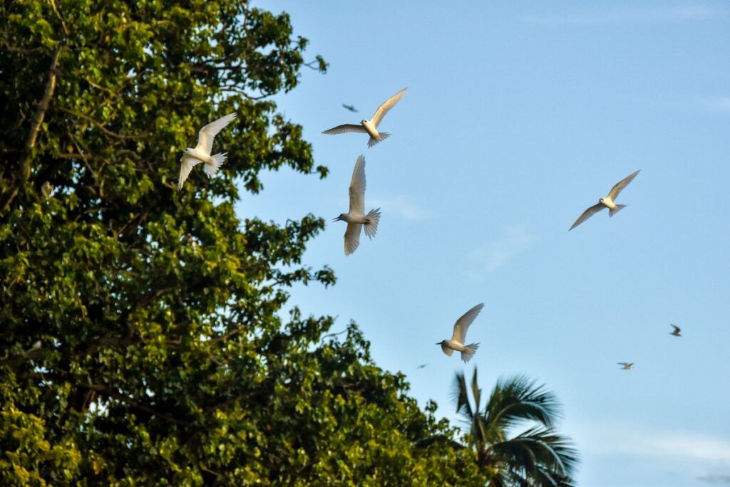 20 Essentials You NEED to Pack for Rarotonga & the Cook Islands ????