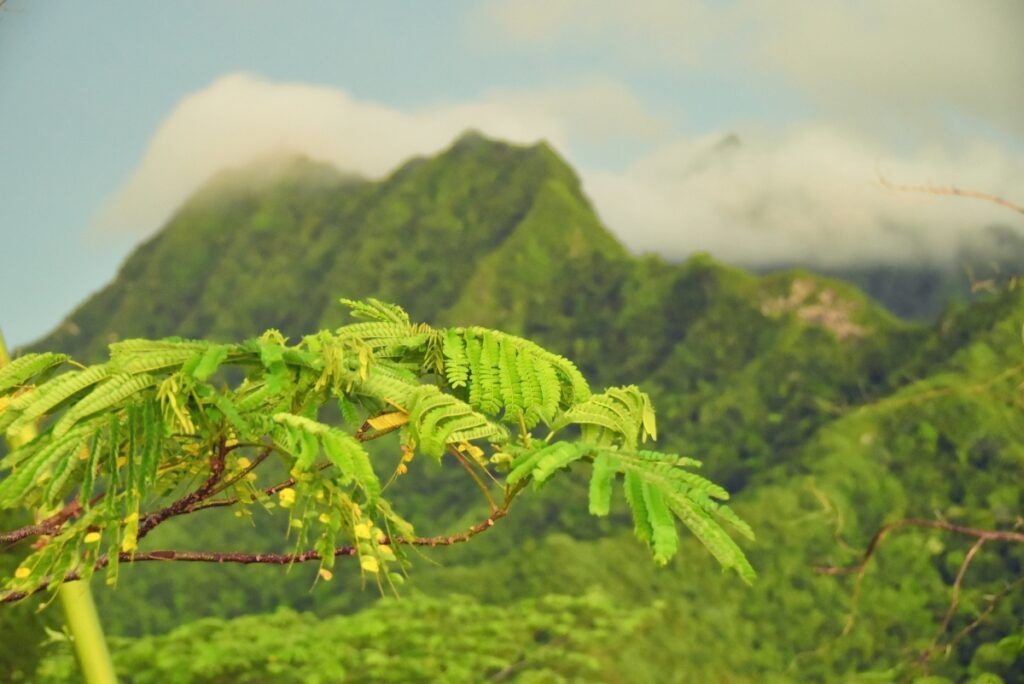 Which is Better, Rarotonga or Aitutaki?