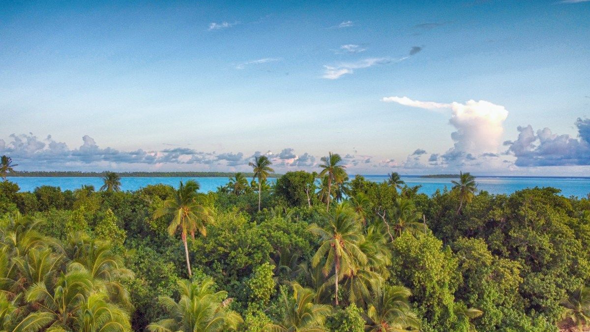 The Best Time to Visit Rarotonga & the Cook Islands: Best Months to Visit 🗓️