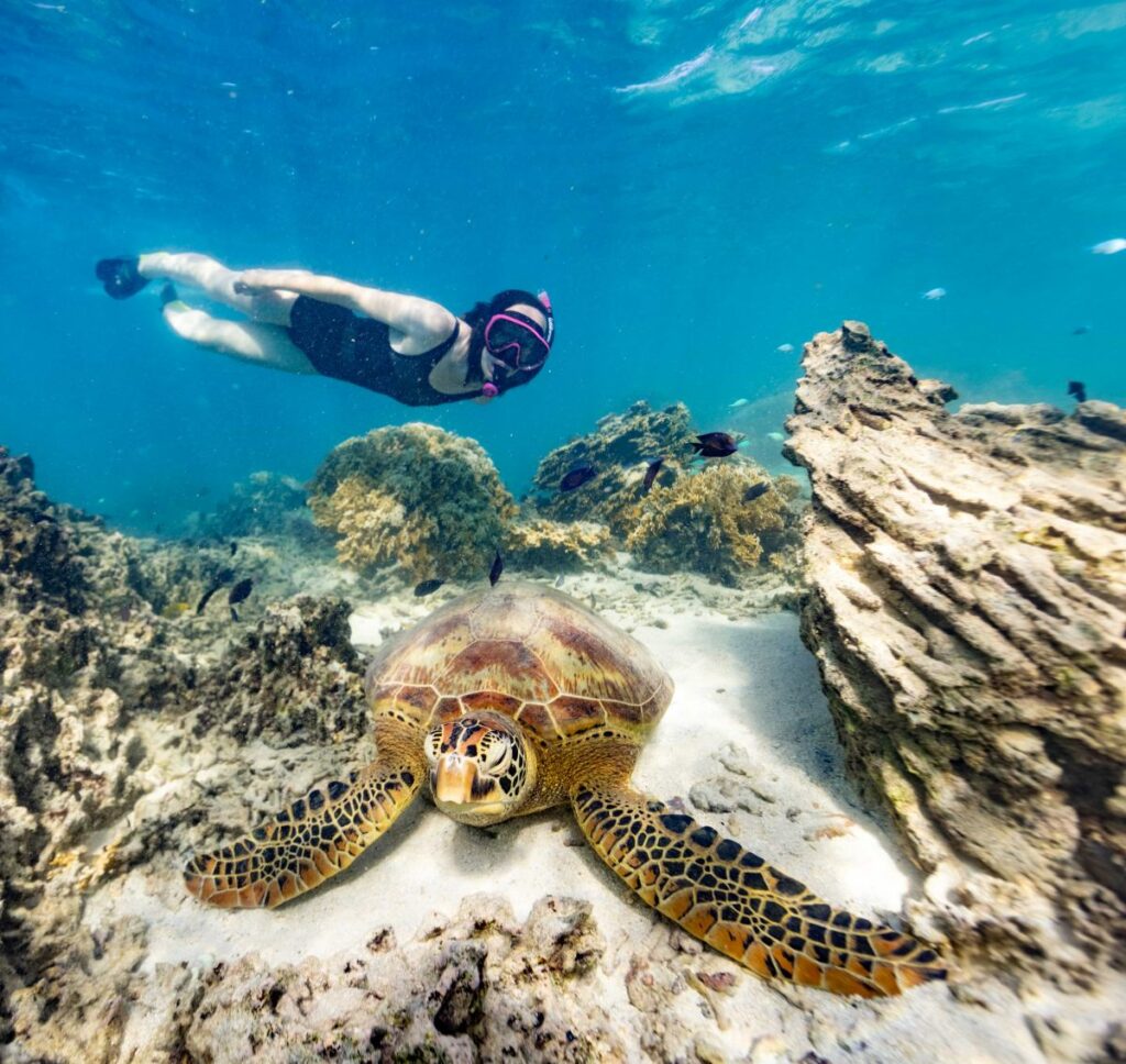 The Best Cook Islands Travel Guide: Plan a Trip the EASY Way ????️ [2023]