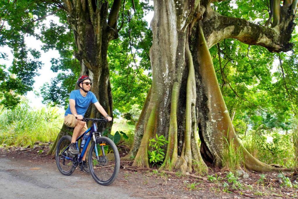 The Complete Backpacking & Budget Guide to the Cook Islands ⛱️ [2025]