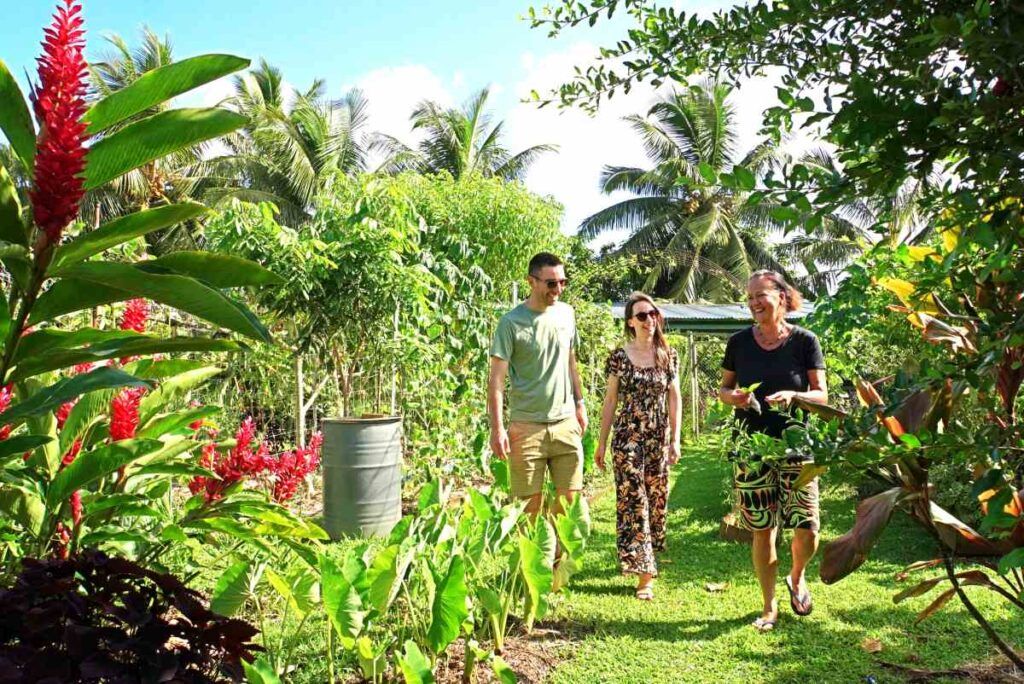 50 Best Things to Do on Rarotonga 🐋 [2025]