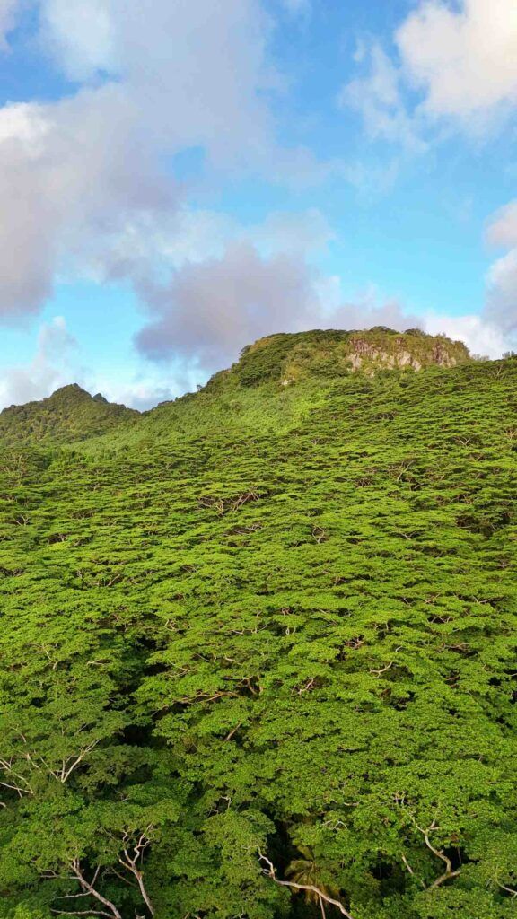 50 Best Things to Do on Rarotonga 🐋 [2025]