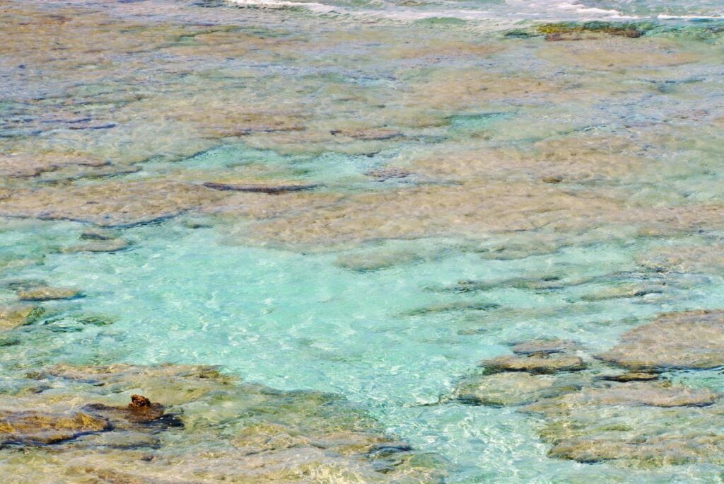 101 Best Things to Do in the Cook Islands: The Ultimate List [2025]