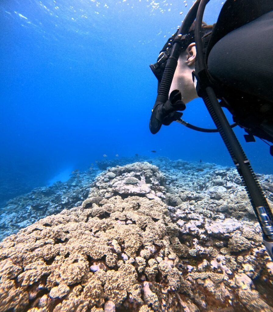 50 Best Things to Do on Rarotonga 🐋 [2025]