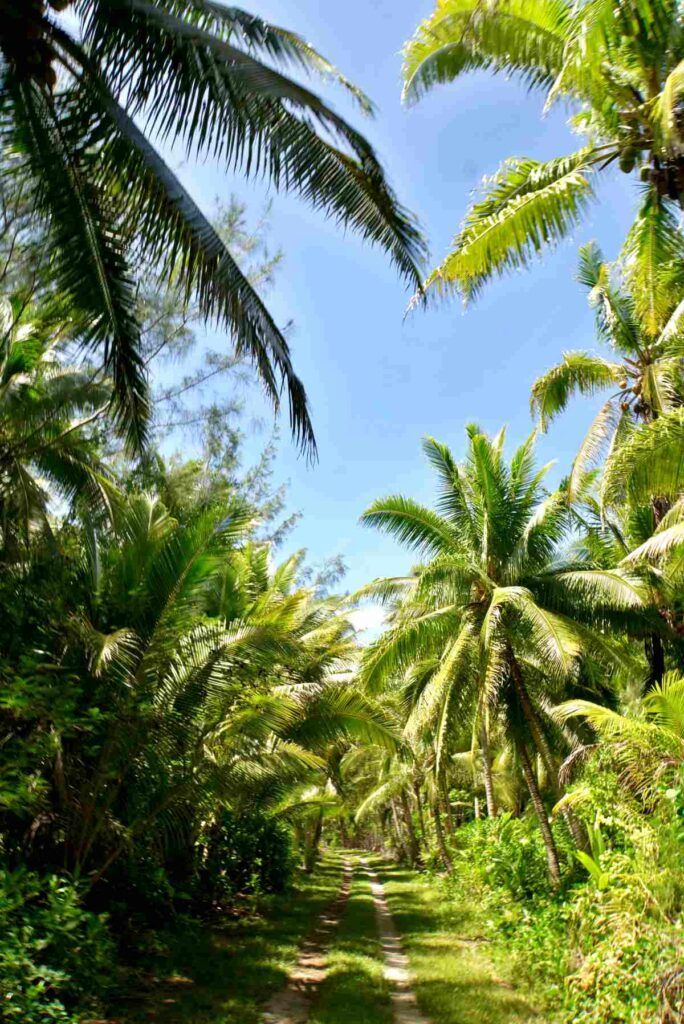 Cook Islands Travel Times: How Long to Travel Around the Islands?