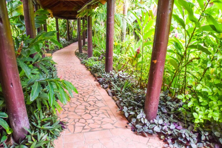 Accessibility in the Cook Islands: Disabled & Wheelchair Access Guide