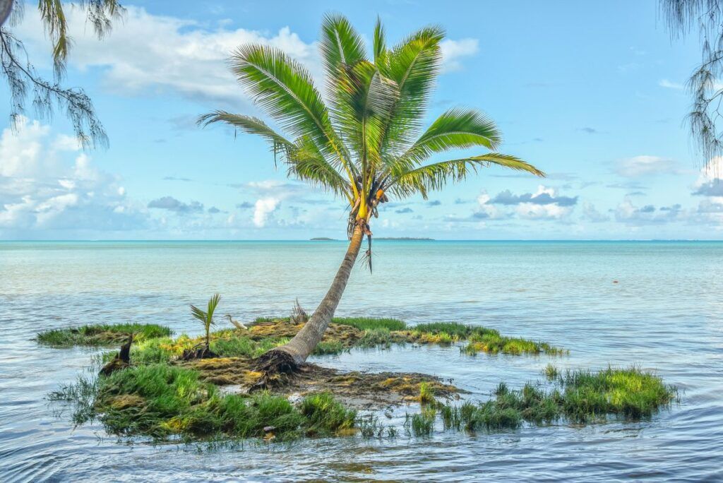 Cook Islands landscape by Cook Islands Pocket Guide